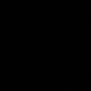 Meet your Posher, Ellen